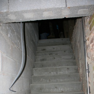 IMG 7027