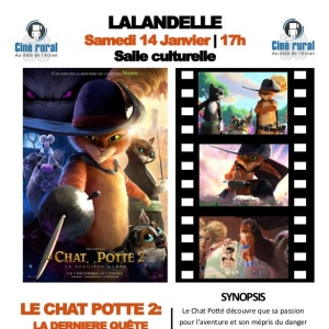 chat-potte janv