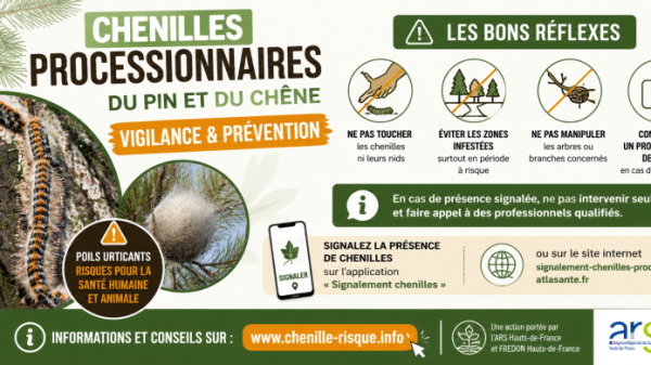 ⚠️Vigilance : Chenilles processionnaires